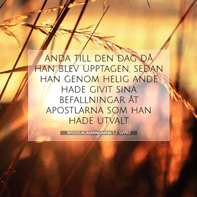 Picture 07 - Apostlagärningarna 1:2 SV1917 - ända till den dag då han blev upptagen, sedan - Bible Verse Picture