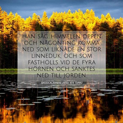 Picture 07 - Apostlagärningarna 10:11 SV1917 - Han såg himmelen öppen och någonting komma ned - Bible Verse Picture