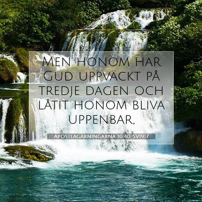 Picture 07 - Apostlagärningarna 10:40 SV1917 - Men honom har Gud uppväckt på tredje dagen och - Bible Verse Picture