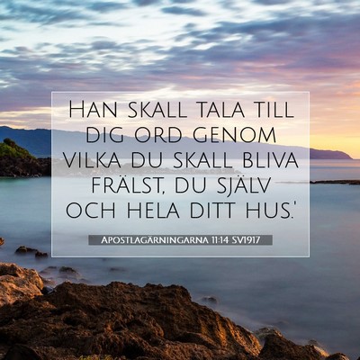 Picture 07 - Apostlagärningarna 11:14 SV1917 - Han skall tala till dig ord genom vilka du skall - Bible Verse Picture