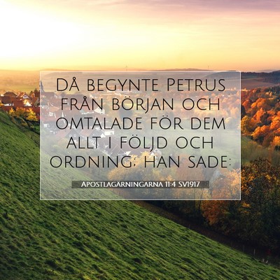 Picture 07 - Apostlagärningarna 11:4 SV1917 - Då begynte Petrus från början och omtalade - Bible Verse Picture