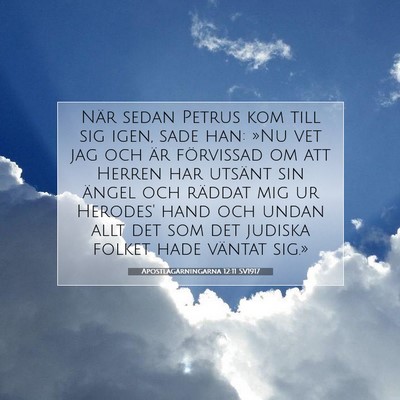 Picture 07 - Apostlagärningarna 12:11 SV1917 - När sedan Petrus kom till sig igen, sade han: - Bible Verse Picture