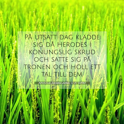 Picture 07 - Apostlagärningarna 12:21 SV1917 - På utsatt dag klädde sig då Herodes i - Bible Verse Picture