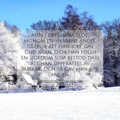 Picture 07 - Apostlagärningarna 12:23 SV1917 - Men i detsamma slog honom en Herrens ängel, - Bible Verse Picture