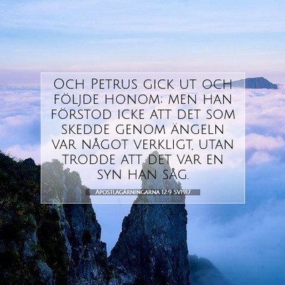 Picture 07 - Apostlagärningarna 12:9 SV1917 - Och Petrus gick ut och följde honom; men han - Bible Verse Picture
