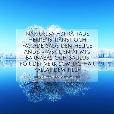 Picture 07 - Apostlagärningarna 13:2 SV1917 - När dessa förrättade Herrens tjänst och - Bible Verse Picture