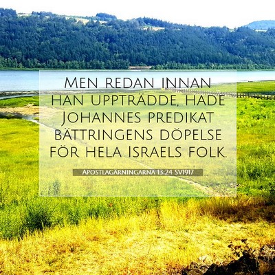 Picture 07 - Apostlagärningarna 13:24 SV1917 - Men redan innan han uppträdde, hade Johannes - Bible Verse Picture
