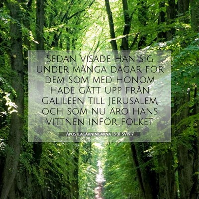 Picture 07 - Apostlagärningarna 13:31 SV1917 - Sedan visade han sig under många dagar för dem - Bible Verse Picture