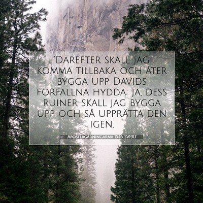 Picture 07 - Apostlagärningarna 15:16 SV1917 - 'Därefter skall jag komma tillbaka och åter - Bible Verse Picture