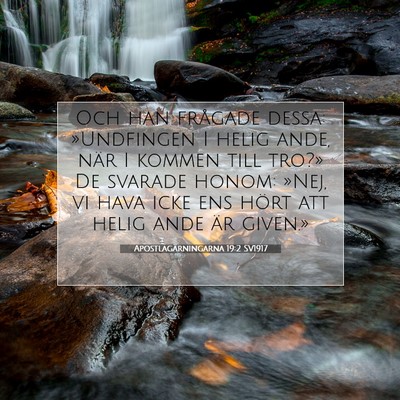 Picture 07 - Apostlagärningarna 19:2 SV1917 - Och han frågade dessa: »Undfingen I helig ande, - Bible Verse Picture