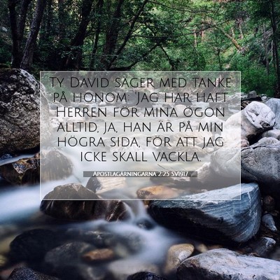 Picture 07 - Apostlagärningarna 2:25 SV1917 - Ty David säger med tanke på honom: 'Jag har - Bible Verse Picture