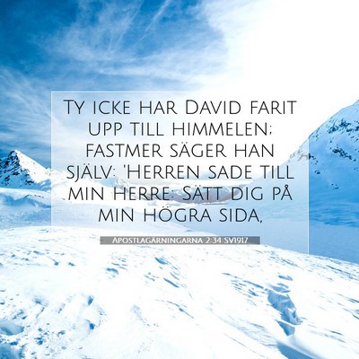 Picture 07 - Apostlagärningarna 2:34 SV1917 - Ty icke har David farit upp till himmelen; - Bible Verse Picture