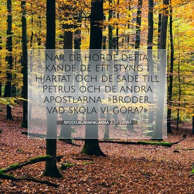 Picture 07 - Apostlagärningarna 2:37 SV1917 - När de hörde detta, kände de ett styng i - Bible Verse Picture
