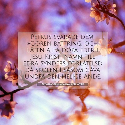 Picture 07 - Apostlagärningarna 2:38 SV1917 - Petrus svarade dem: »Gören bättring, och - Bible Verse Picture