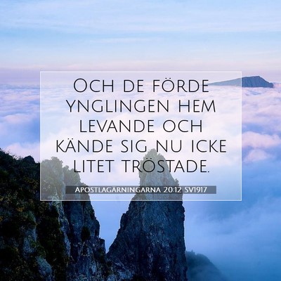 Picture 07 - Apostlagärningarna 20:12 SV1917 - Och de förde ynglingen hem levande och kände - Bible Verse Picture