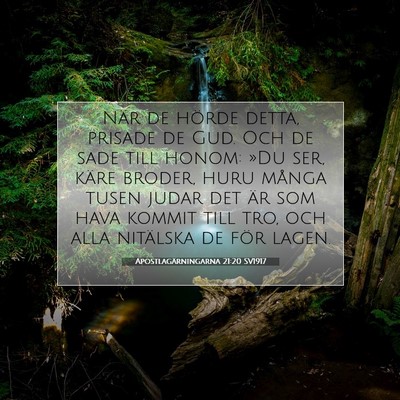 Picture 07 - Apostlagärningarna 21:20 SV1917 - När de hörde detta, prisade de Gud. Och de sade - Bible Verse Picture