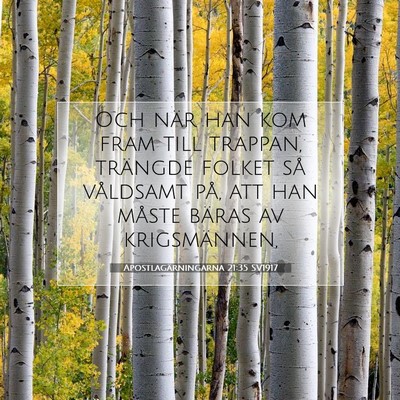 Picture 07 - Apostlagärningarna 21:35 SV1917 - Och när han kom fram till trappan, trängde - Bible Verse Picture