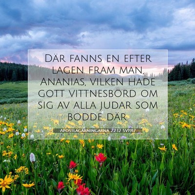 Picture 07 - Apostlagärningarna 22:12 SV1917 - Där fanns en efter lagen fram man, Ananias, - Bible Verse Picture