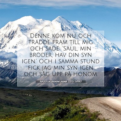 Picture 07 - Apostlagärningarna 22:13 SV1917 - Denne kom nu och trädde fram till mig och sade: - Bible Verse Picture