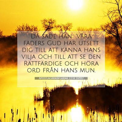 Picture 07 - Apostlagärningarna 22:14 SV1917 - Då sade han: 'Våra fäders Gud har utsett dig - Bible Verse Picture