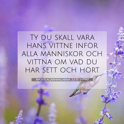 Picture 07 - Apostlagärningarna 22:15 SV1917 - Ty du skall vara hans vittne inför alla - Bible Verse Picture