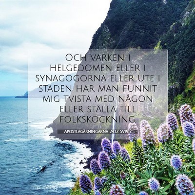Picture 07 - Apostlagärningarna 24:12 SV1917 - Och varken i helgedomen eller i synagogorna eller - Bible Verse Picture