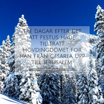 Picture 07 - Apostlagärningarna 25:1 SV1917 - Tre dagar efter det att Festus hade tillträtt - Bible Verse Picture