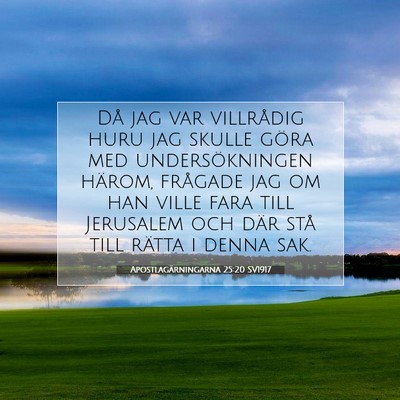 Picture 07 - Apostlagärningarna 25:20 SV1917 - Då jag var villrådig huru jag skulle göra med - Bible Verse Picture