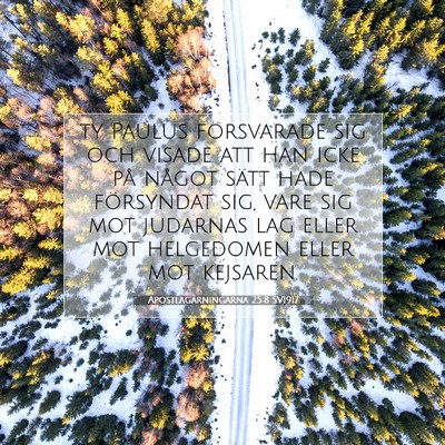 Picture 07 - Apostlagärningarna 25:8 SV1917 - ty Paulus försvarade sig och visade att han icke - Bible Verse Picture