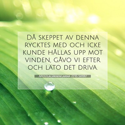 Picture 07 - Apostlagärningarna 27:15 SV1917 - Då skeppet av denna rycktes med och icke kunde - Bible Verse Picture