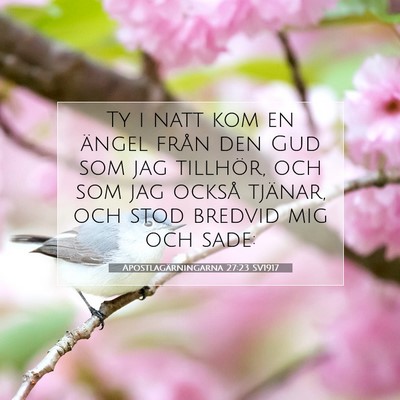 Picture 07 - Apostlagärningarna 27:23 SV1917 - Ty i natt kom en ängel från den Gud som jag - Bible Verse Picture