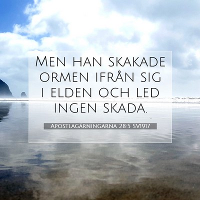 Picture 07 - Apostlagärningarna 28:5 SV1917 - Men han skakade ormen ifrån sig i elden och led - Bible Verse Picture