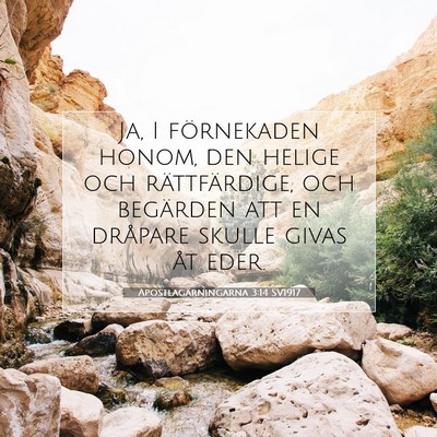 Picture 07 - Apostlagärningarna 3:14 SV1917 - Ja, I förnekaden honom, den helige och - Bible Verse Picture