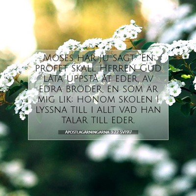 Picture 07 - Apostlagärningarna 3:22 SV1917 - Moses har ju sagt: 'En profet skall Herren Gud - Bible Verse Picture