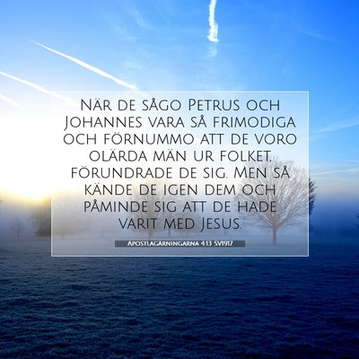 Picture 07 - Apostlagärningarna 4:13 SV1917 - När de sågo Petrus och Johannes vara så - Bible Verse Picture