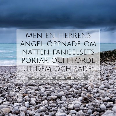 Picture 07 - Apostlagärningarna 5:19 SV1917 - Men en Herrens ängel öppnade om natten - Bible Verse Picture