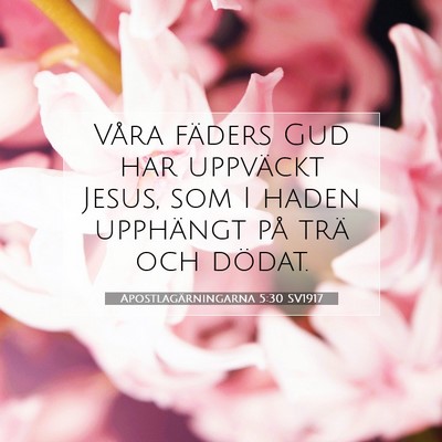 Picture 07 - Apostlagärningarna 5:30 SV1917 - Våra fäders Gud har uppväckt Jesus, som I - Bible Verse Picture