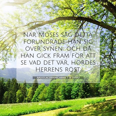Picture 07 - Apostlagärningarna 7:31 SV1917 - När Moses såg detta, förundrade han sig över - Bible Verse Picture