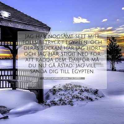 Picture 07 - Apostlagärningarna 7:34 SV1917 - Jag har nogsamt sett mitt folks betryck i - Bible Verse Picture