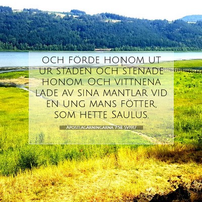 Picture 07 - Apostlagärningarna 7:58 SV1917 - och förde honom ut ur staden och stenade honom. - Bible Verse Picture