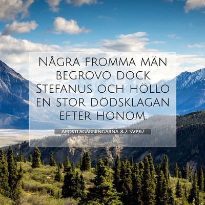 Picture 07 - Apostlagärningarna 8:2 SV1917 - Några fromma män begrovo dock Stefanus och - Bible Verse Picture