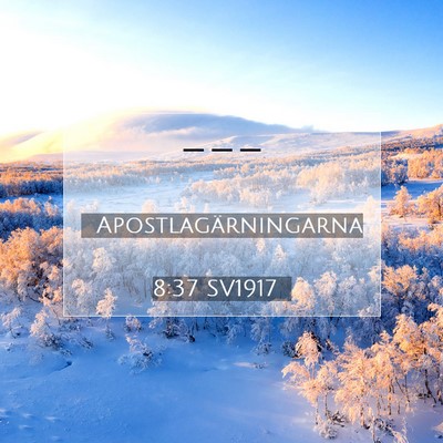 Picture 07 - Apostlagärningarna 8:37 SV1917 -  - Bible Verse Picture