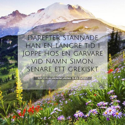 Picture 07 - Apostlagärningarna 9:43 SV1917 - Därefter stannade han en längre tid i Joppe hos - Bible Verse Picture