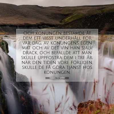 Picture 07 - Daniel 1:5 SV1917 - Och konungen bestämde åt dem ett visst - Bible Verse Picture
