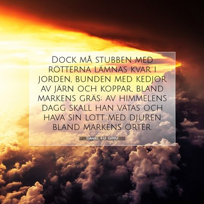 Picture 07 - Daniel 4:12 SV1917 - Dock må stubben med rötterna lämnas kvar i - Bible Verse Picture