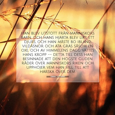 Picture 07 - Daniel 5:21 SV1917 - Han blev utstött från människors barn, och - Bible Verse Picture