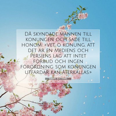 Picture 07 - Daniel 6:15 SV1917 - Då skyndade männen till konungen och sade till - Bible Verse Picture