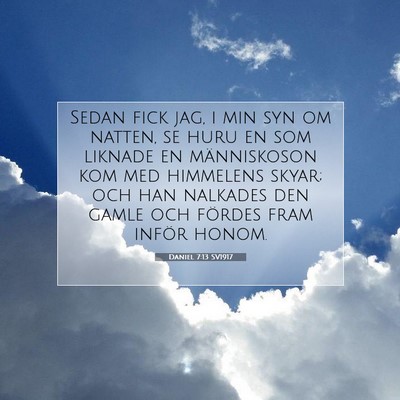 Picture 07 - Daniel 7:13 SV1917 - Sedan fick jag, i min syn om natten, se huru en - Bible Verse Picture