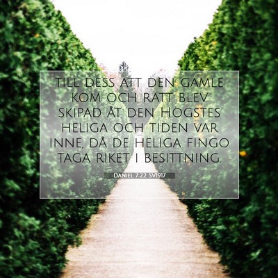 Picture 07 - Daniel 7:22 SV1917 - till dess att den gamle kom och rätt blev skipad - Bible Verse Picture