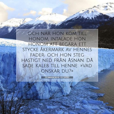 Picture 07 - Domarboken 1:14 SV1917 - Och när hon kom till honom, intalade hon honom - Bible Verse Picture